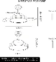 MGS0000028335-5.webp