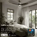 MGS0000028969-1.webp